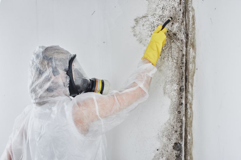 mold removal