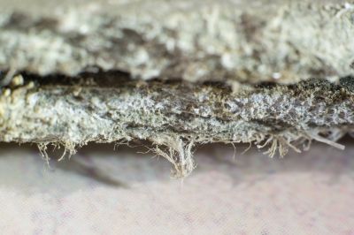 Asbestos Mitigation in Essex County, NJ