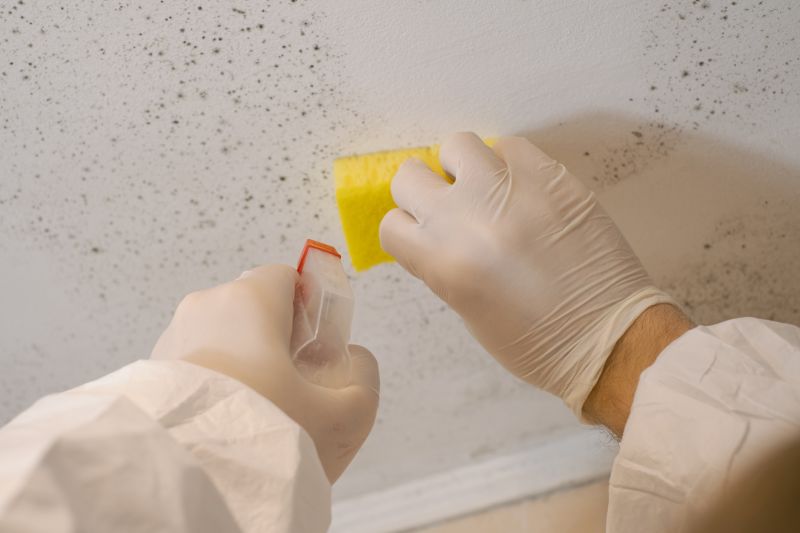 Attic Mold Remediation in Fort Worth, TX