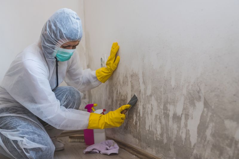 Basement Mold Remediation in Boca Raton, FL