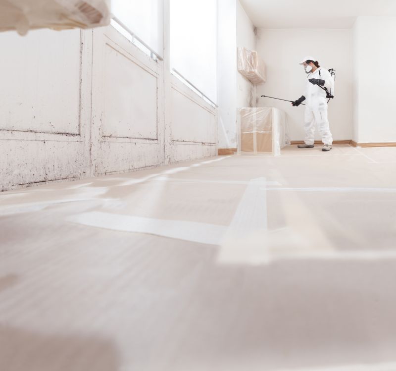 Basement Mold Removal in Frisco, TX