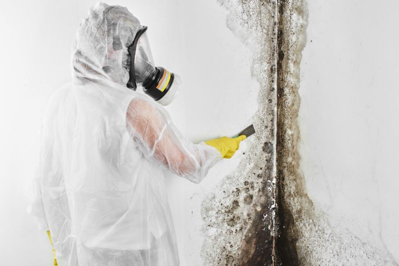 Black Mold Remediation in Boca Raton, FL