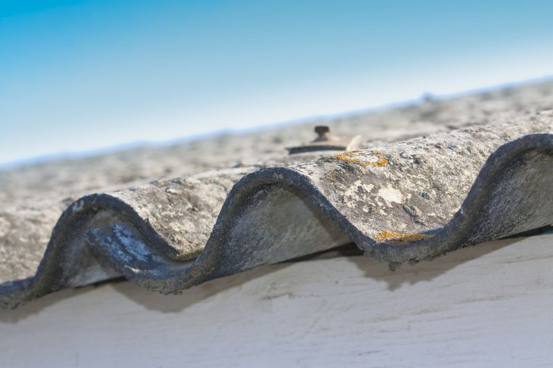 Ceiling Asbestos Testing in Freehold, NJ