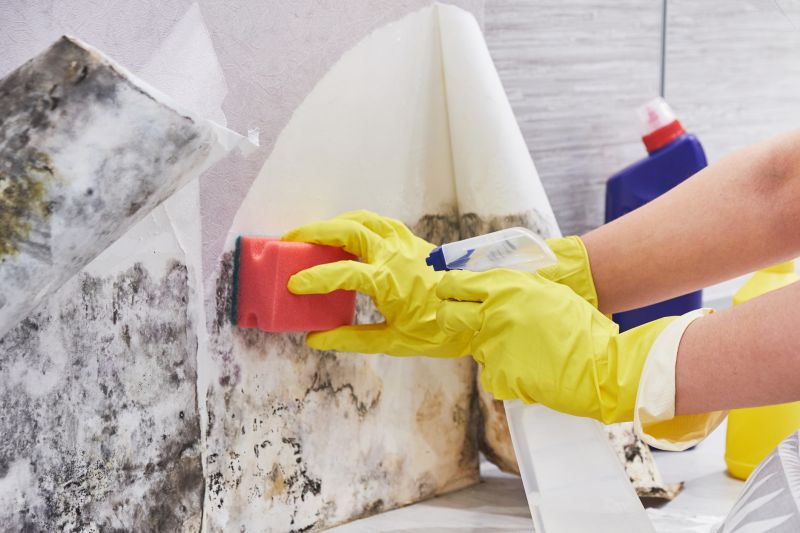 Crawl Space Mold Removal in Dallas, TX
