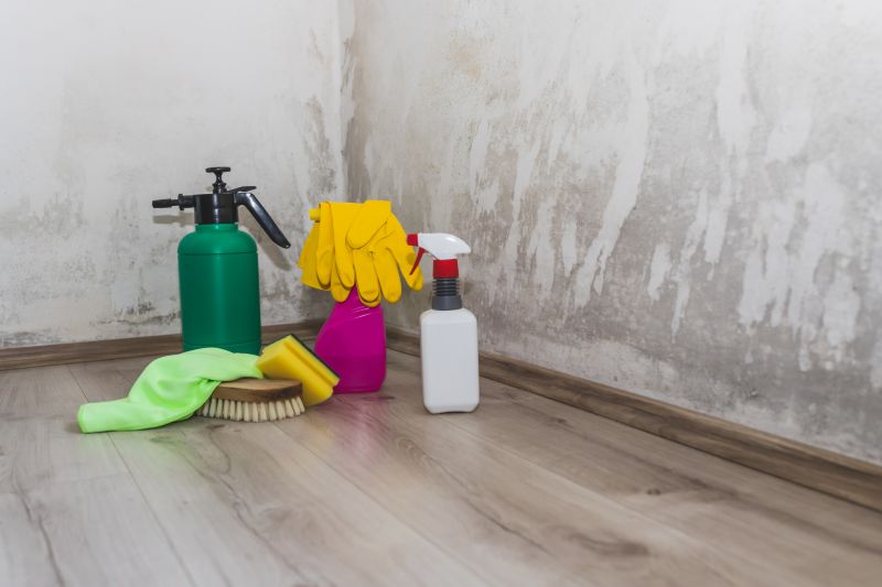 Effective Mold Removal Solutions — cost of