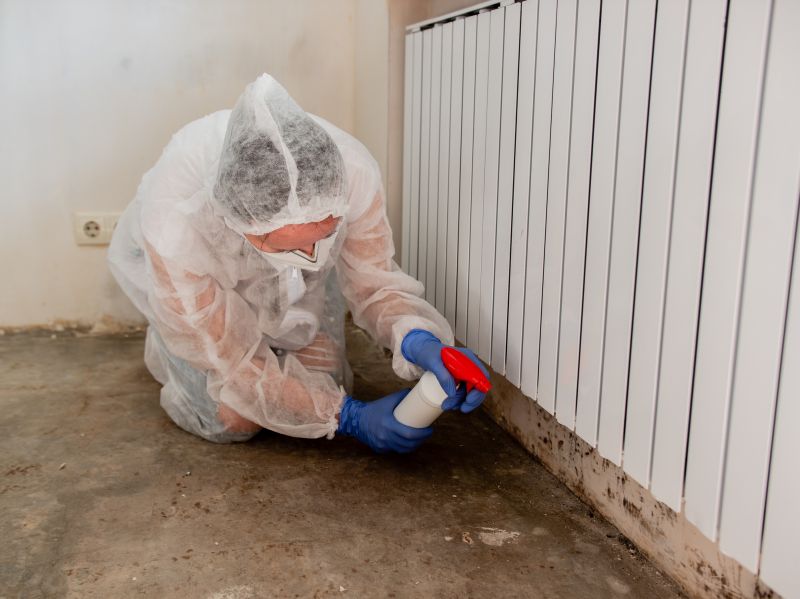 Garage Mold Remediation in Broward County, FL