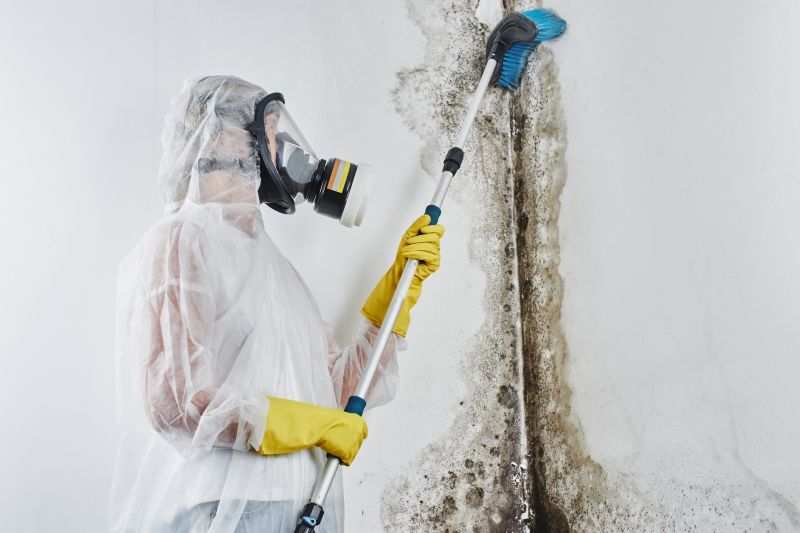 Garage Mold Remediation in Broward County, FL