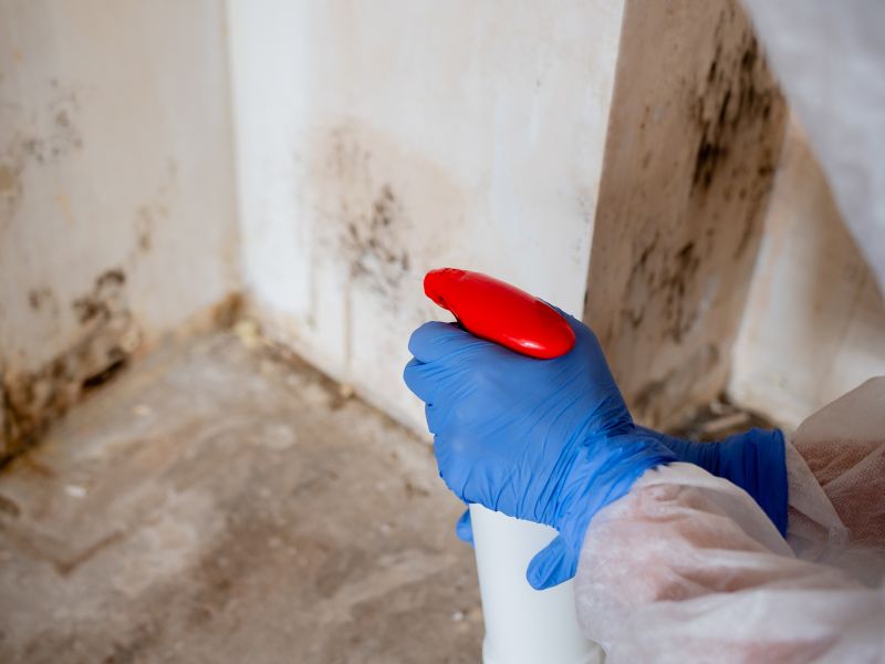 Garage Mold Remediation in Broward County, FL