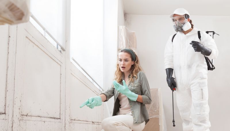 Garage Mold Remediation in Bergen County, NJ