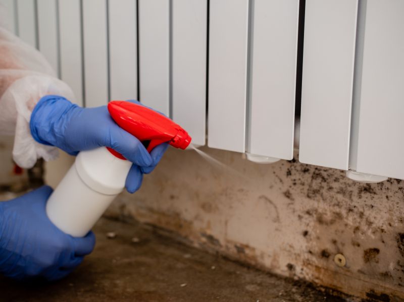 Mold Removal in Essex County, NJ