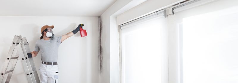 Mold Removal in Boca Raton, FL