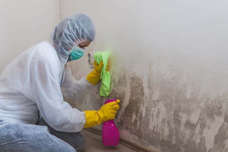 Mold Removal in Dallas, TX