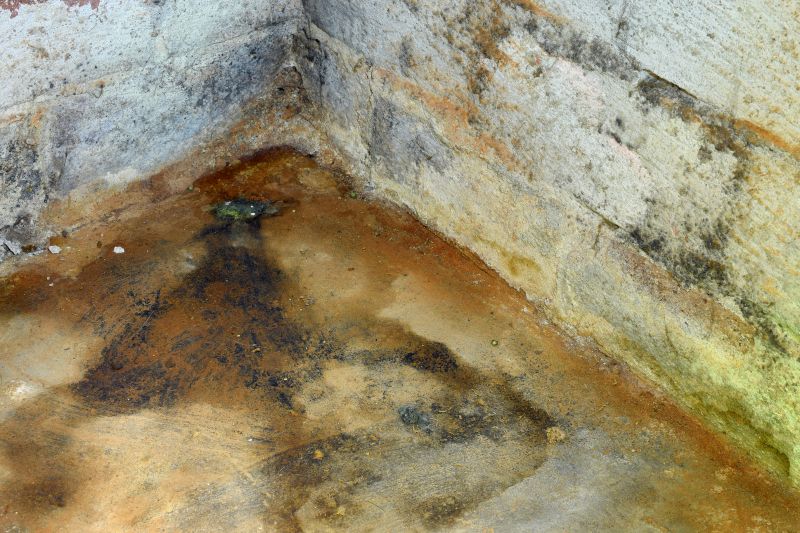 Mold Growth in Humid Seasons