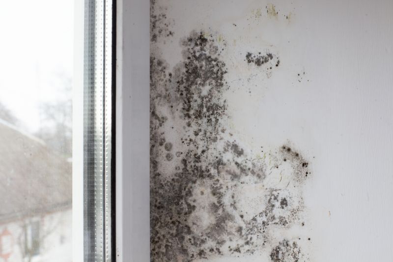 Mold Damage Repair