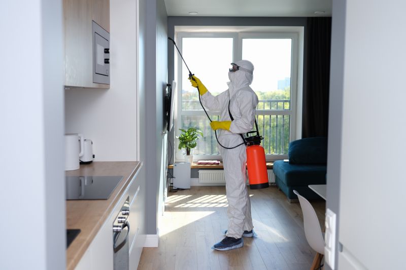 Products For Mold Removals in use