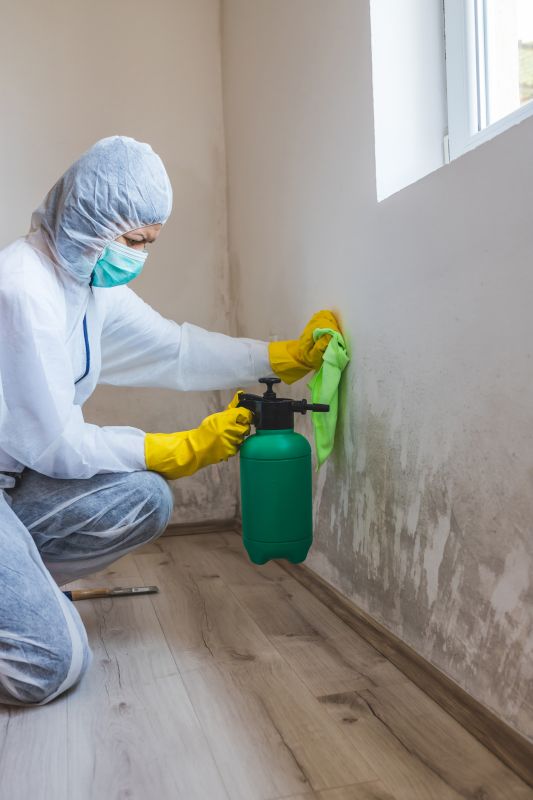 Certified Mold Remediation Experts